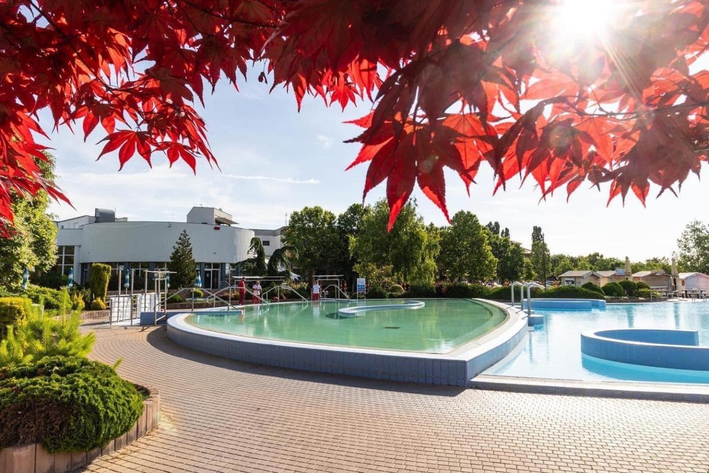 Dom Pri Kupalisku Thermalpark Na Malotejedskej Дунайска-Стреда Экстерьер фото